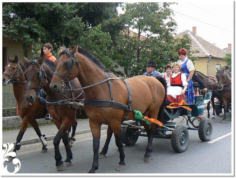 Szuret Felv es Bal_062